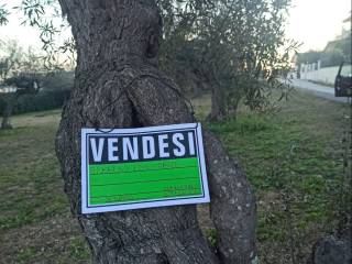 Terreno residenziale in vendita a collecorvino viale dei pini