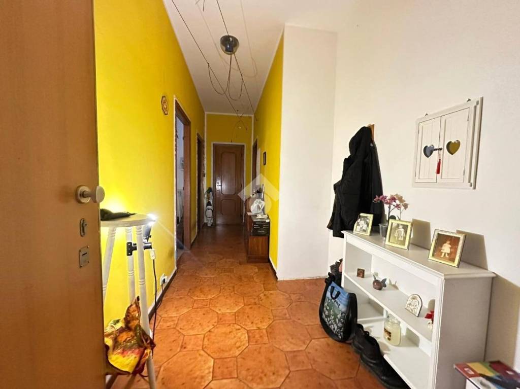 immagine annuncio 7 di 14