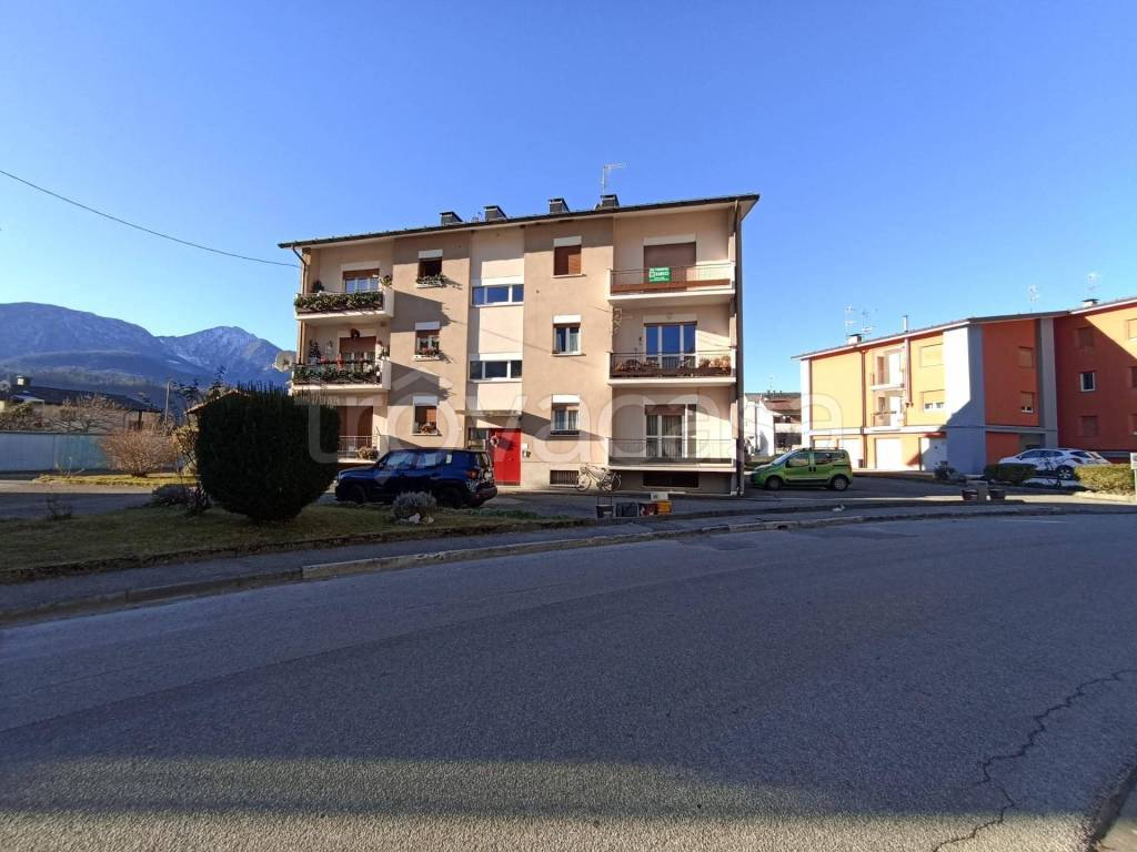 immagine annuncio 1 di 13