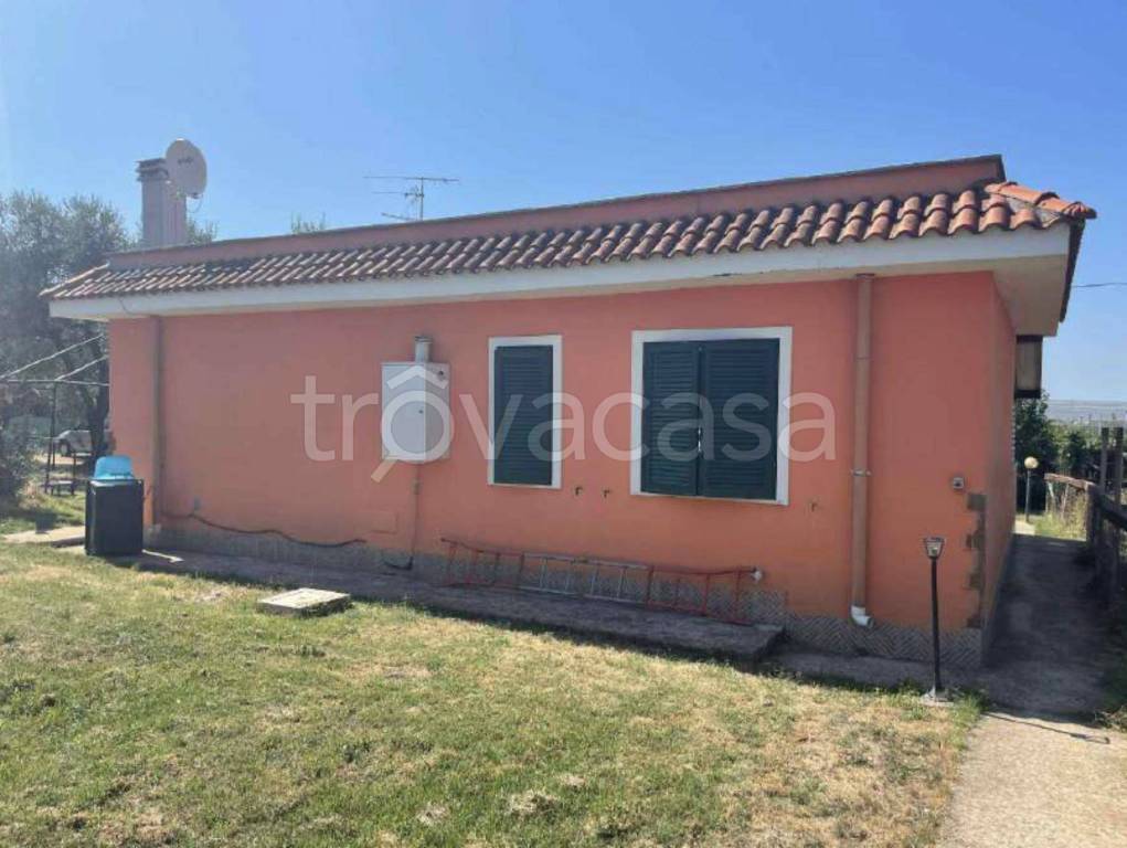 immagine annuncio 2 di 11