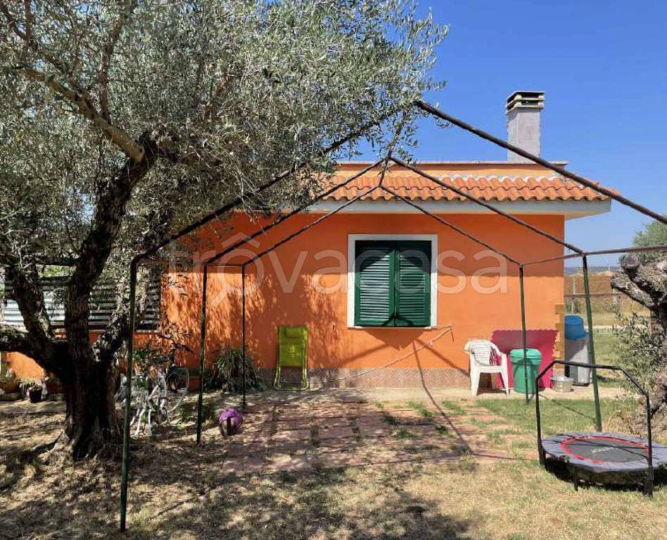 immagine annuncio 3 di 11