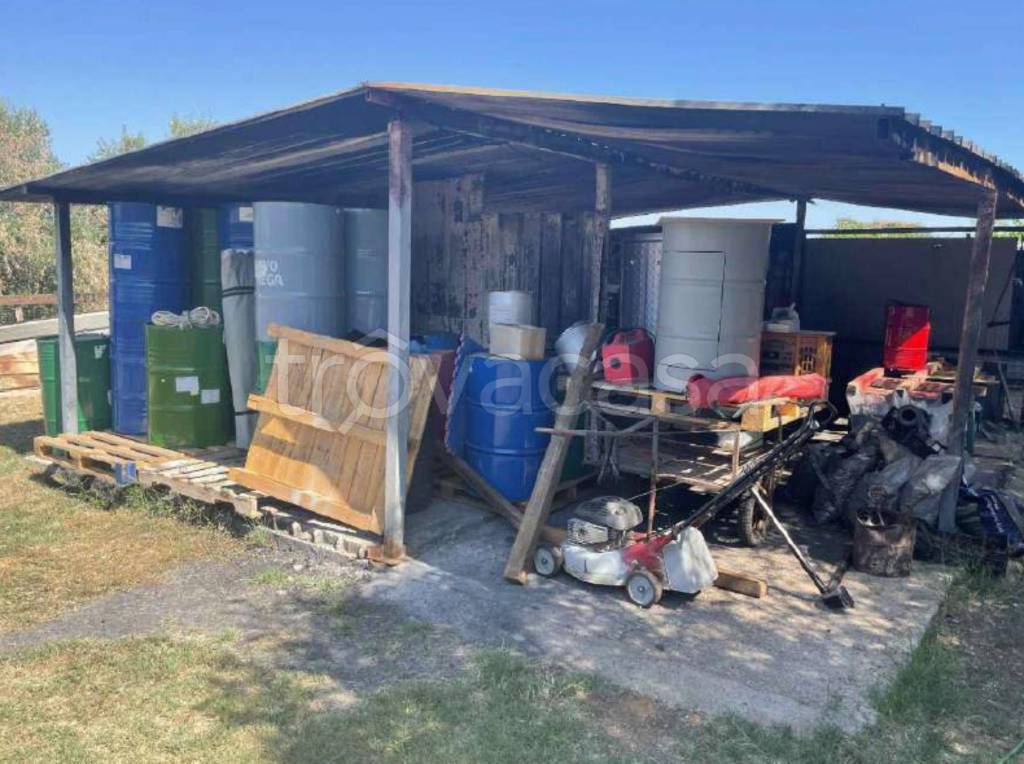 immagine annuncio 4 di 11