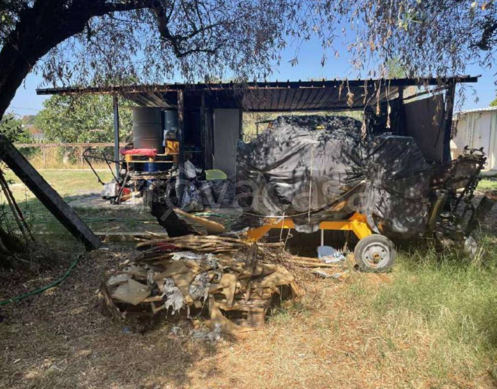 immagine annuncio 5 di 11