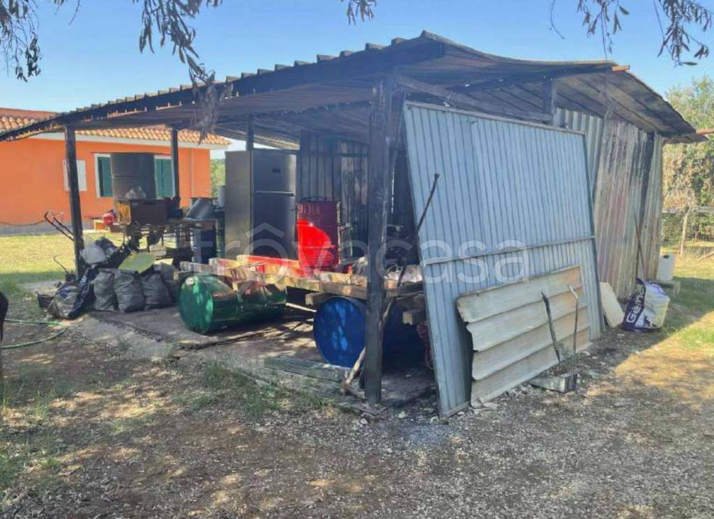 immagine annuncio 6 di 11