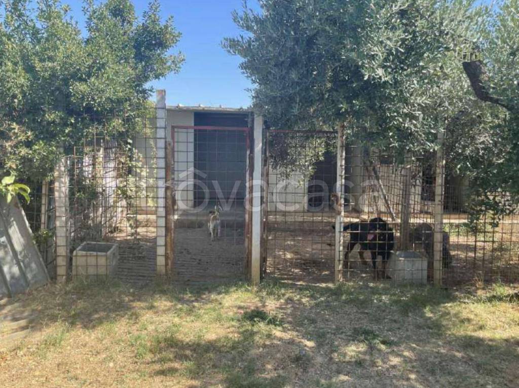 immagine annuncio 7 di 11