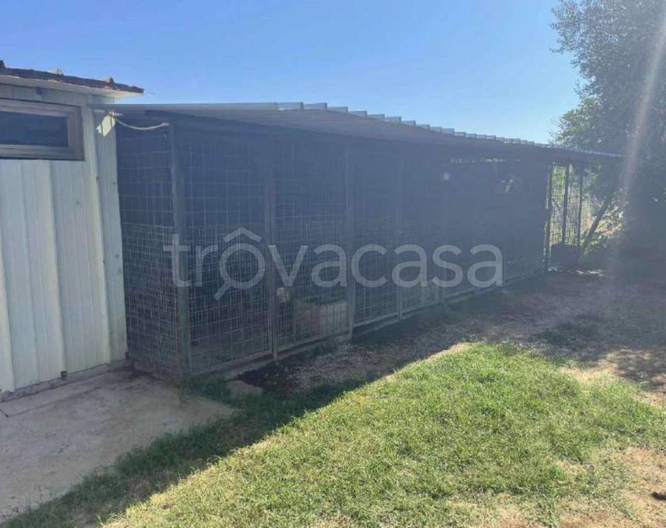 immagine annuncio 10 di 11