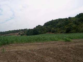 Terreno agricolo in vendita a fiumicino via carlo belviglieri, 12