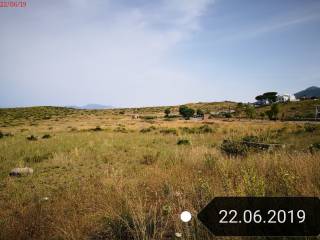 Terreno agricolo all'asta a san nicola arcella ss18