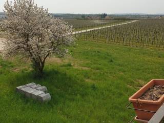 Appartamento in in vendita da privato a negrar di valpolicella via valpolicella