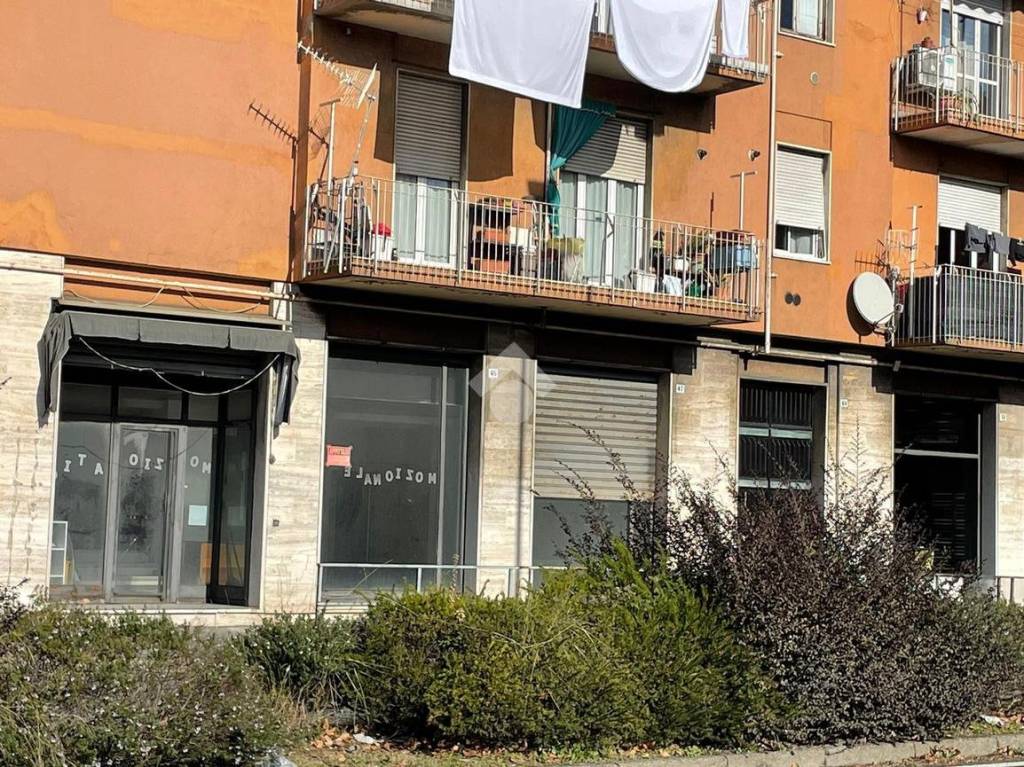 immagine annuncio 14 di 15