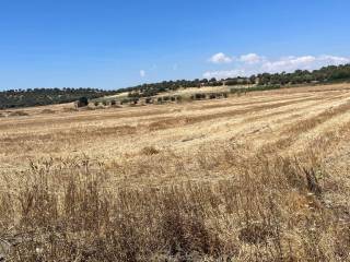 Terreno agricolo in vendita a noto strada provinciale bimmisca-agliastro