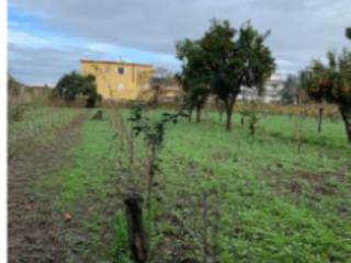 Terreno agricolo all'asta a calvizzano via vittorio emanuele iii