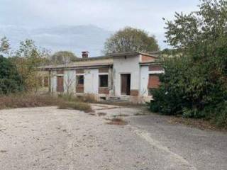 Azienda agricola all'asta a mantova via leopoldo pilla, 28