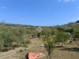 Terreno agricolo in vendita a siracusa traversa frescura