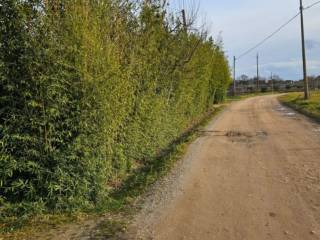 Terreno agricolo in vendita a montepulciano via della fonte al giunco