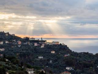 Appartamento in affitto a camogli via aurelia