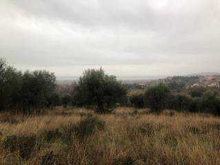 Terreno agricolo in vendita a tuoro sul trasimeno strada regionale del trasimeno