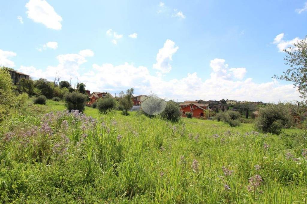 immagine annuncio 4 di 9