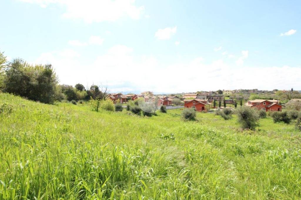 immagine annuncio 2 di 9