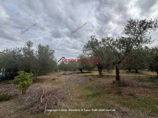 Terreno agricolo in vendita a carini via enrico berlinguer, 1