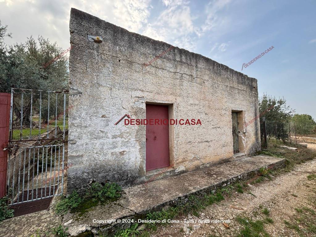 immagine annuncio 4 di 6