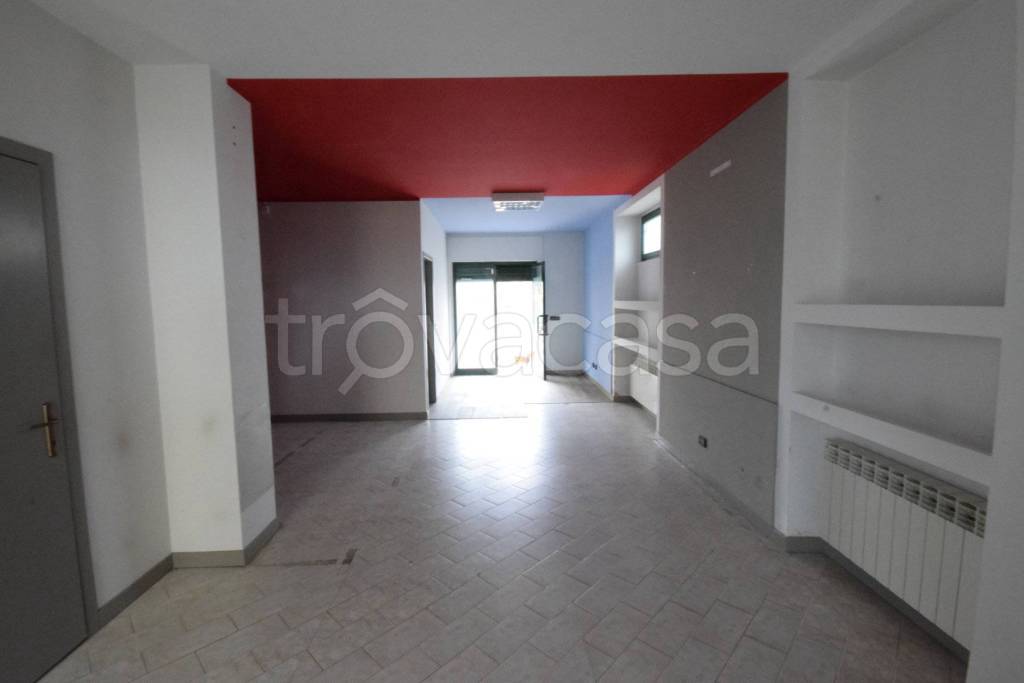 immagine annuncio 4 di 6