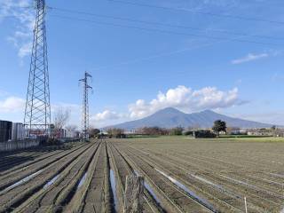 Terreno agricolo in vendita a scafati via vicinale monacelle