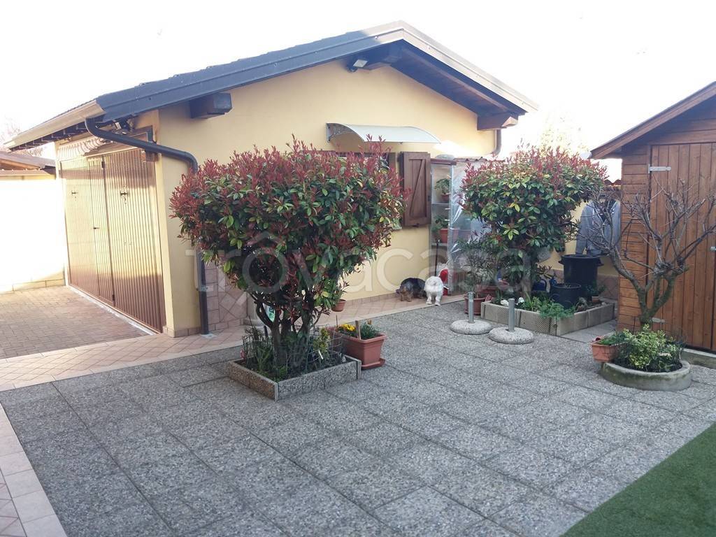 immagine annuncio 3 di 15