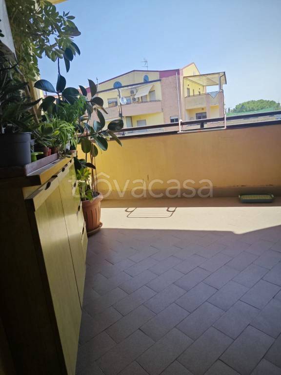 immagine annuncio 5 di 9