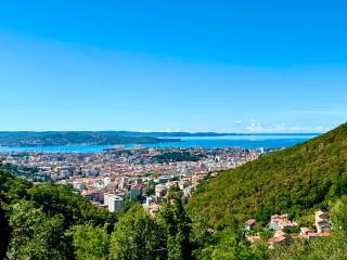 Appartamento in vendita a trieste clivo artemisio, 54