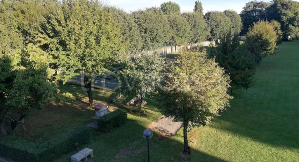immagine annuncio 5 di 7
