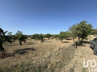 Terreno agricolo in vendita ad avola frazione contrada bochini (strada provinciale 15)