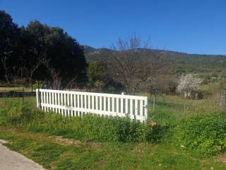 Terreno residenziale in vendita a san teodoro via la patimedda