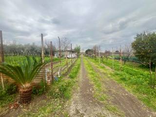 Terreno agricolo in vendita a cercola corso domenico riccardi