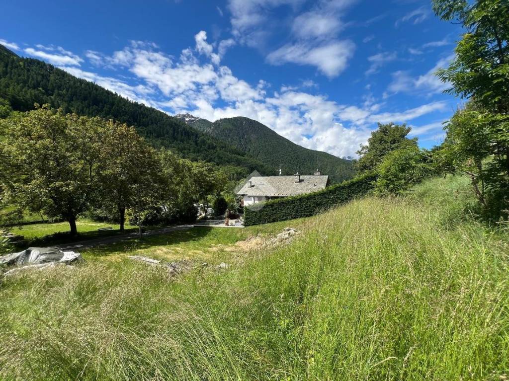 immagine annuncio 6 di 10