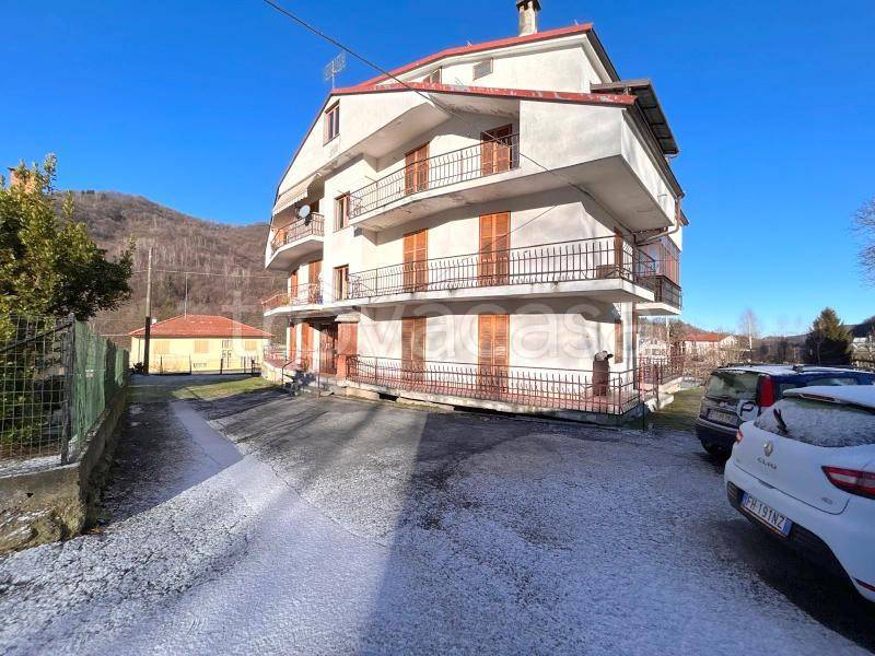 immagine annuncio 2 di 12