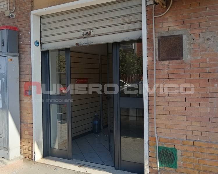 immagine annuncio 12 di 14