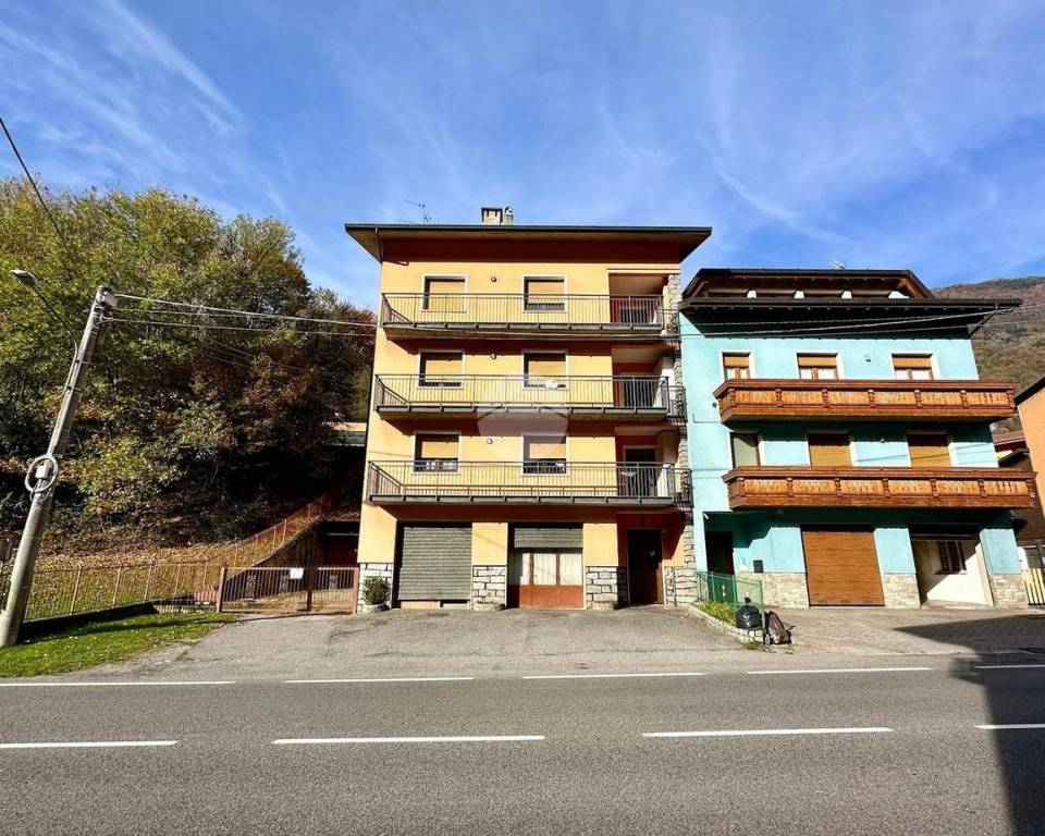 immagine annuncio 1 di 15