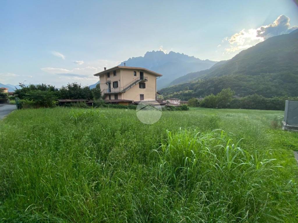 immagine annuncio 2 di 9