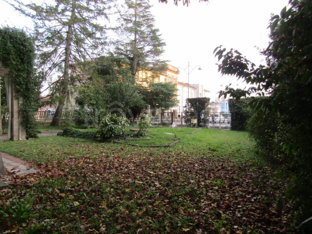immagine annuncio 1 di 14