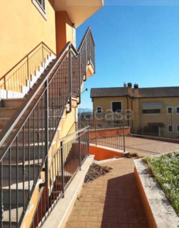 immagine annuncio 6 di 13
