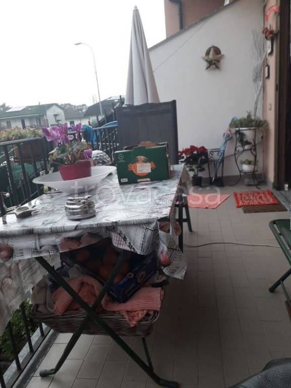 immagine annuncio 4 di 15