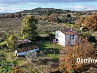 Casale in vendita a capalbio strada poggetti