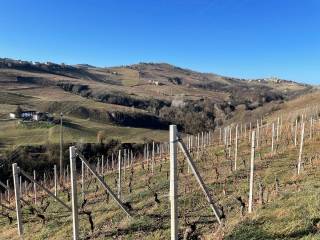 Terreno agricolo in vendita a castiglione tinella strada san giorgio, 33