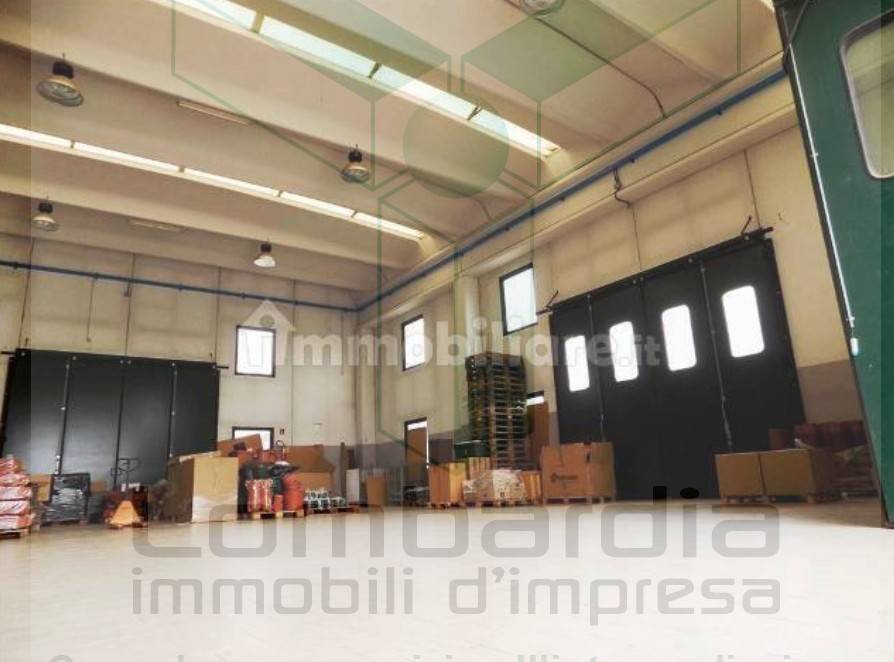 immagine annuncio 6 di 8