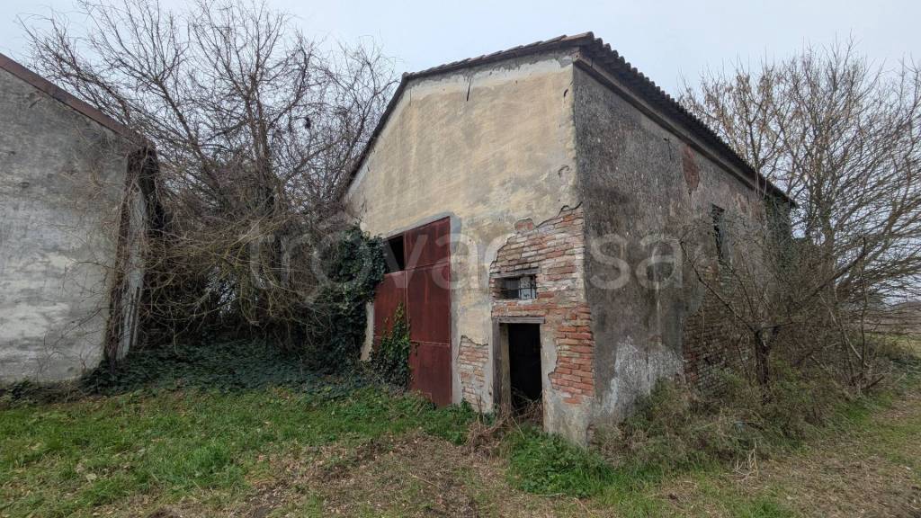 immagine annuncio 6 di 11