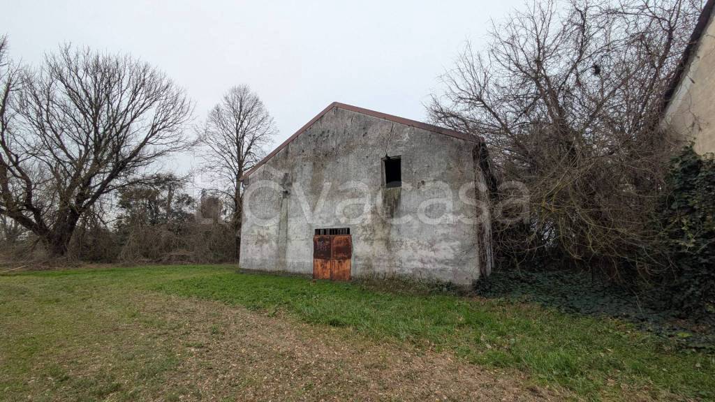 immagine annuncio 5 di 11