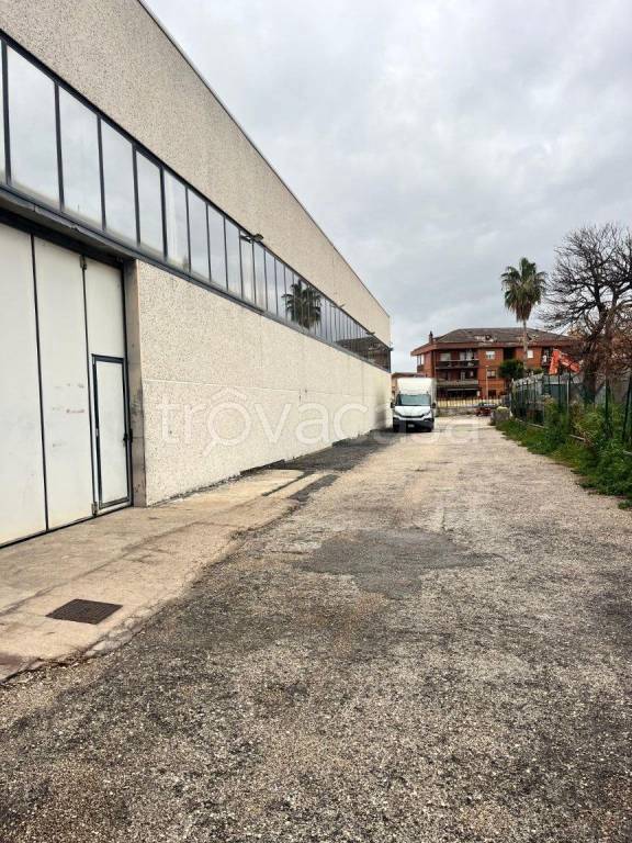 immagine annuncio 11 di 12