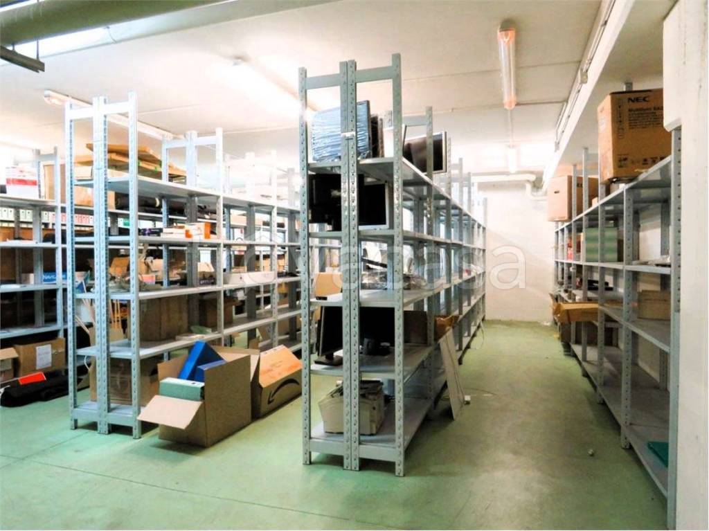 immagine annuncio 5 di 14