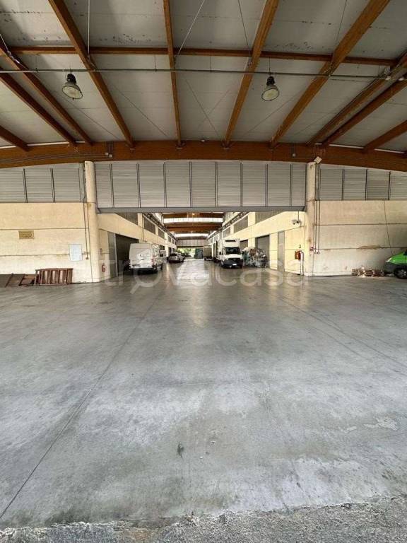 immagine annuncio 5 di 14